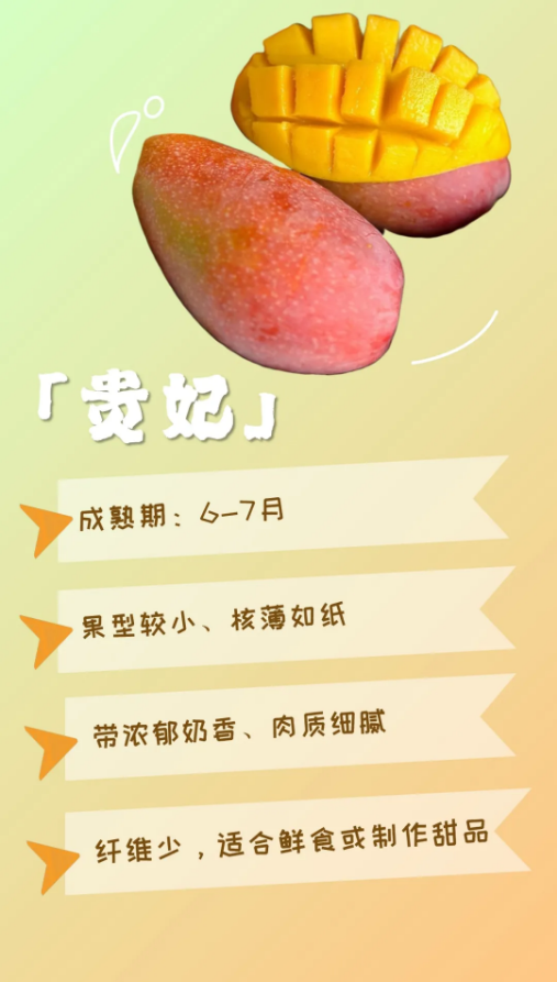 仁和臻芒，一份甜蜜指南，一场风物之约