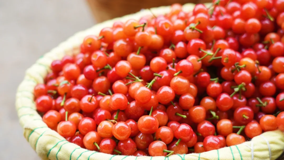 超绝“果张力”，仁和瓜果采摘攻略一键Get！